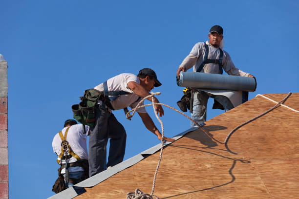 Best Roof Gutter Cleaning  in Wchester, IN